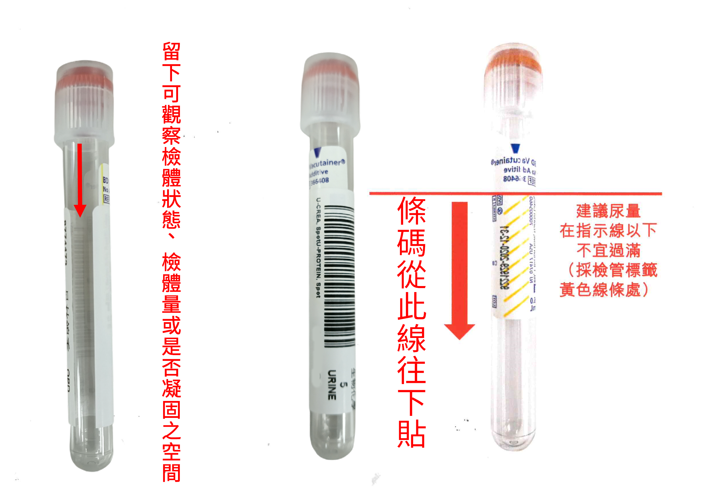 棕色頭容器