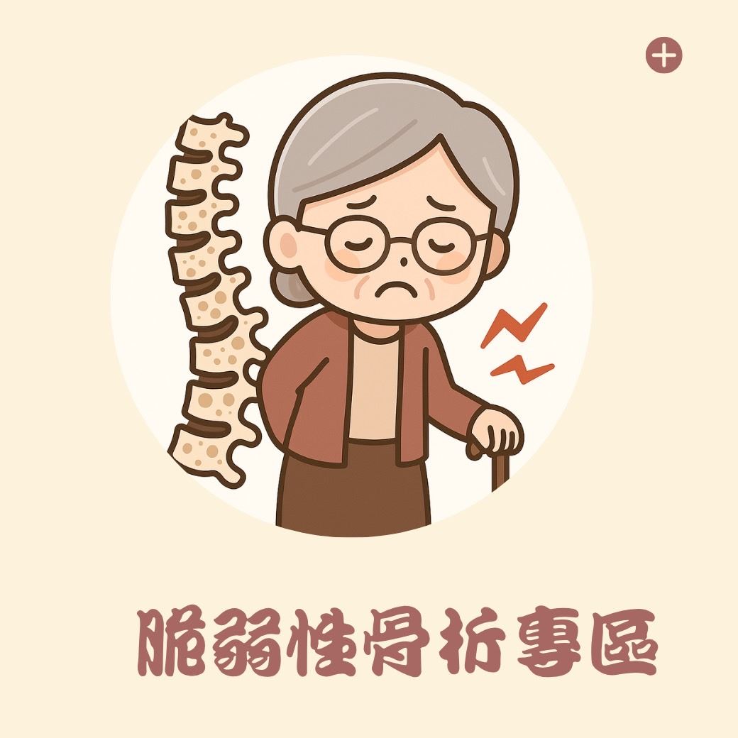 脆弱性骨折專區(圖片)