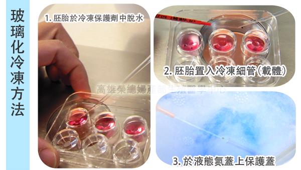 胚胎玻璃化冷凍圖示